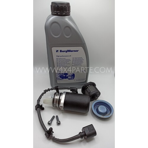 Impostare Haldex 2.gen VW, Audi, Skoda e Seat