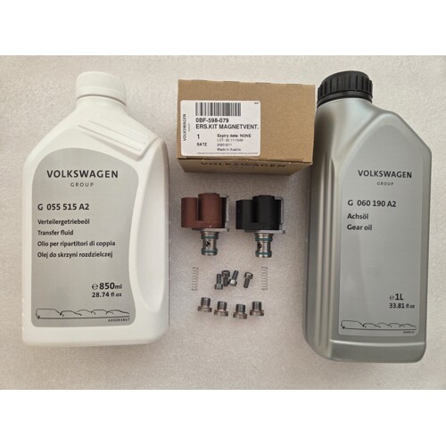 0BF598079 Kit de reparación del diferencial deportivo trasero Audi