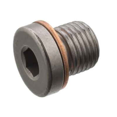 Tornillo de llenado para acoplamientos Haldex de la 1.ª a la 6.ª gen